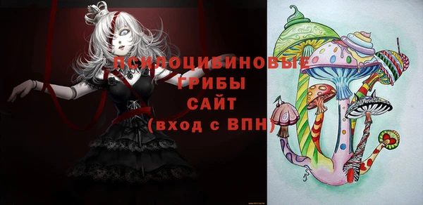 твердый Горнозаводск