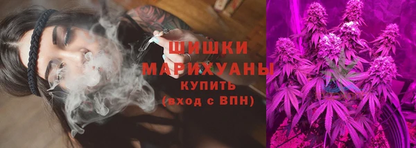 твердый Горнозаводск
