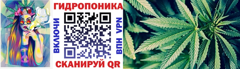 Каннабис SATIVA & INDICA  наркота  Данков 